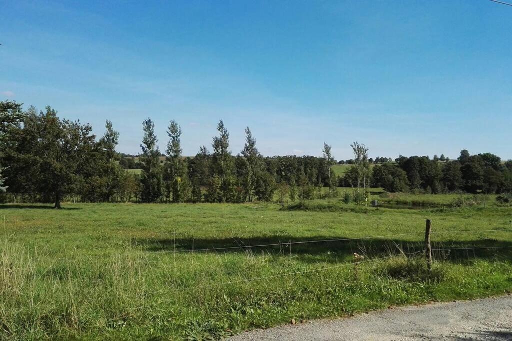 Ferienwohnung In Mittelsaida Grosshartmannsdorf Ngoại thất bức ảnh